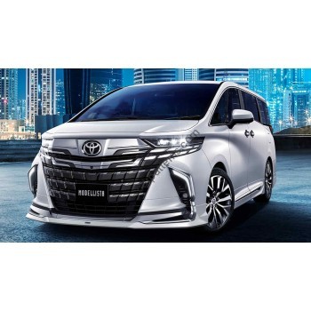 Toyota Alphard Vellfire 2024 - the pattern of the interior