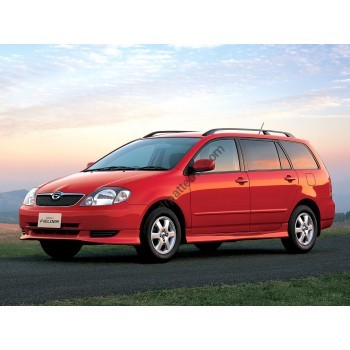 Toyota Corolla Fielder station wagon, 1st generation, E120 (2000 - 2006) Front side glass pattern