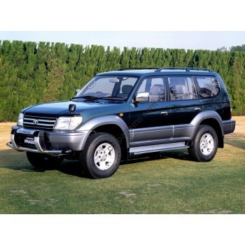 Toyota Land Cruiser Prado 90 back door - Pattern for rear windows