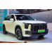 Trumpchi ES9 2023 Front side glass pattern