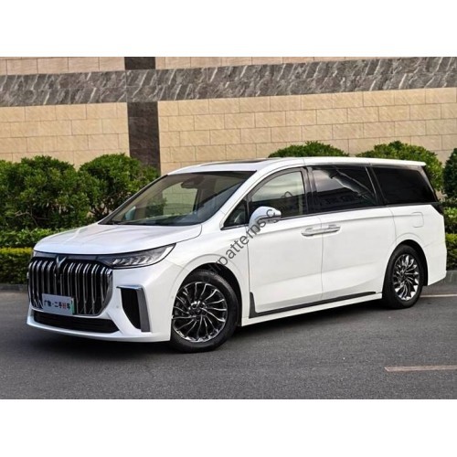 Voyah Dream 2022 - the pattern of the interior