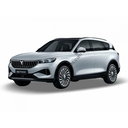 Voyah Free (2021 - 2022) - the pattern of the interior